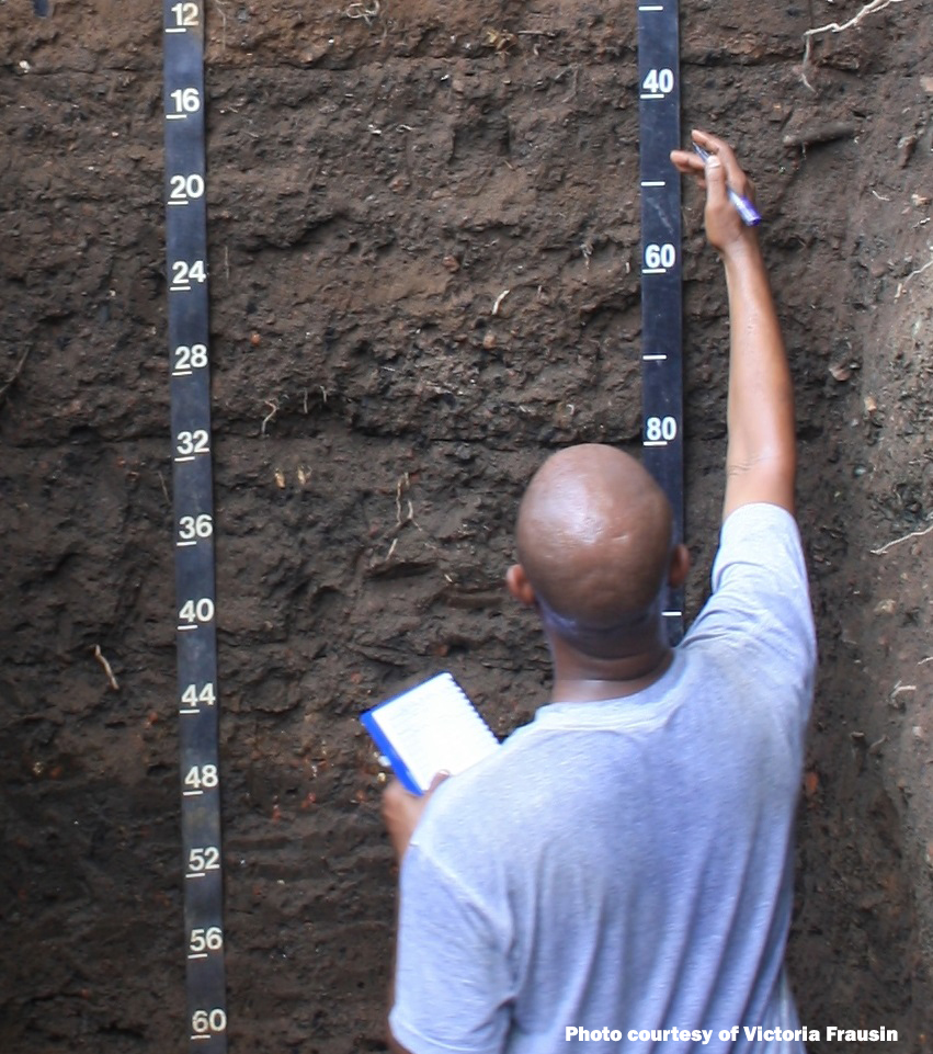 A photo of a man standing in a pit, measuring layers of soil that are changing colour from light to dark brown - photo courtesy of Victoria Frausin