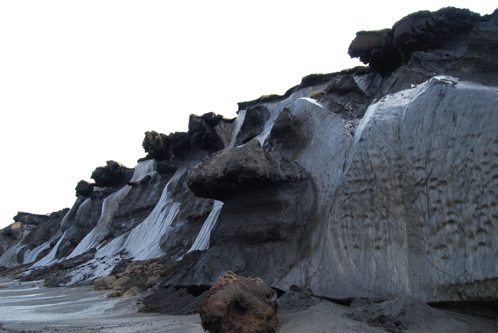 Ice wedges in Late Pleistocene Ice Complex deposits with massive peat layers at Muostakh Island (Northeast Siberia)