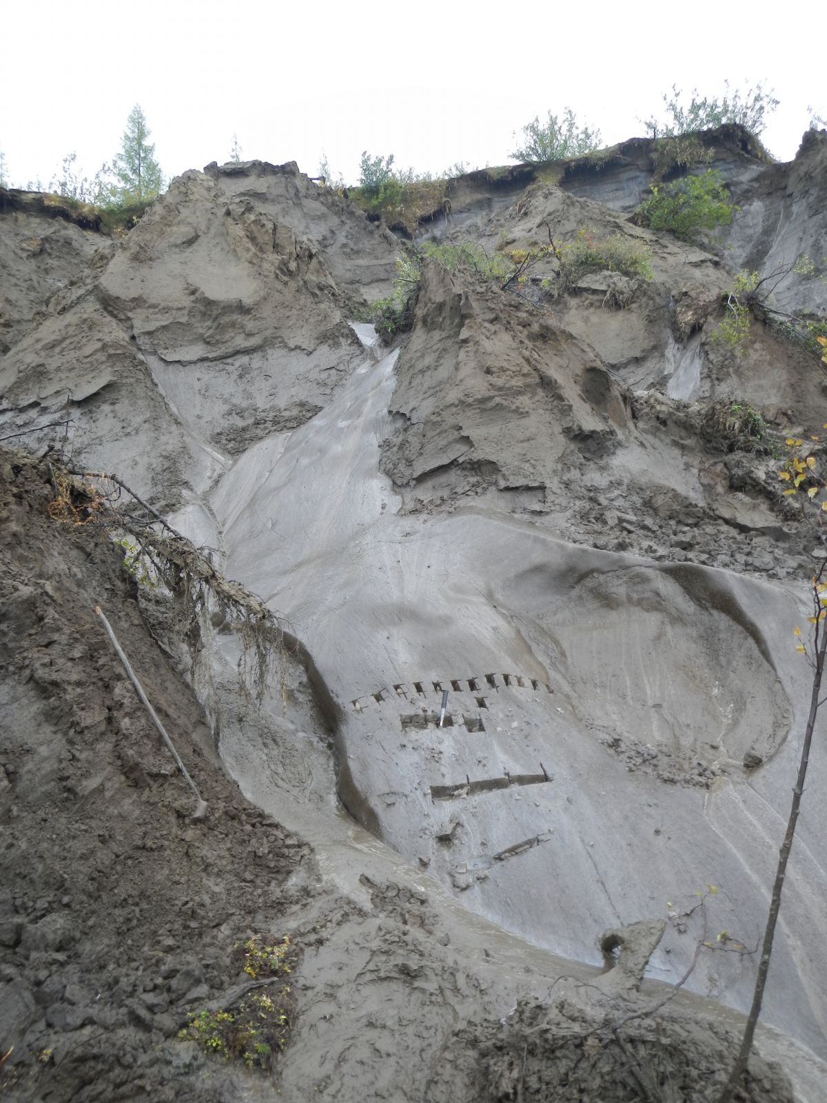 Sampled Ice Complex ice wedge at the Batagai megaslump in Siberia.