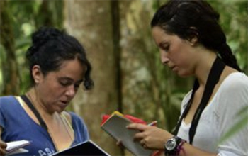 Academics in a forest monitoring wildlife