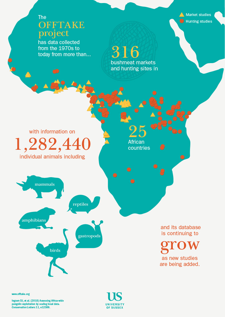 The OFFTAKE project has collected data from the 1970s to today from more than 316 bushmeat markets and hunting site in 25 African countries with information on 1,282,440 individual animals, including mammals, reptiles, amphibians, gastropods and birds.