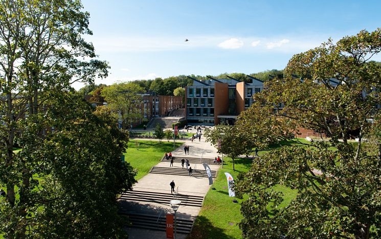 long range shot of green campus on a sunny day