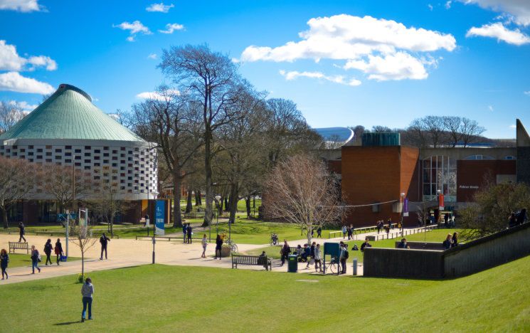 ICON: image of campus greenary on a sunny day