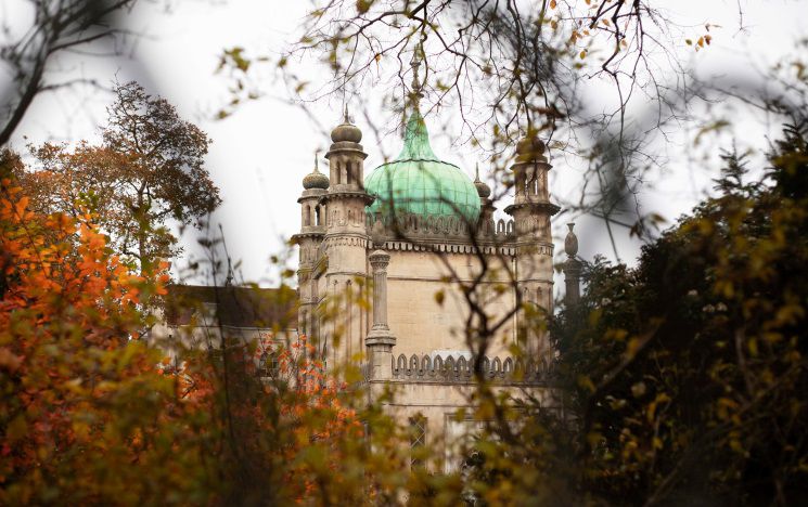 View of the pavillion through the leaves