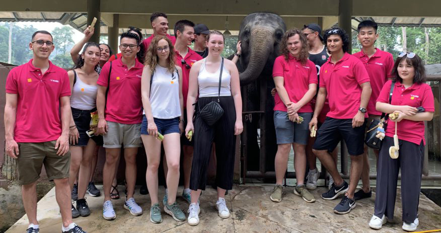 Photo of the interns and an elephant at the elephant sanctuary