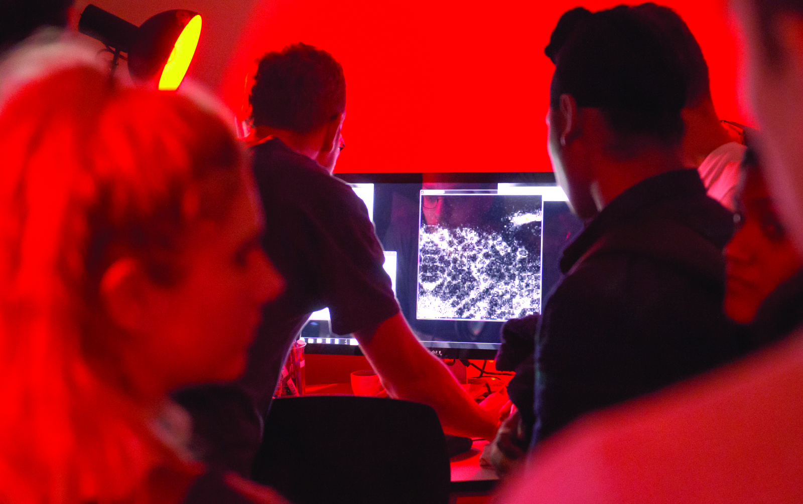 Neuroscience students looking at neural data on a computer monitor