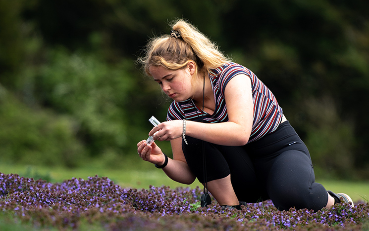 Female Biology student collecting samples in a field