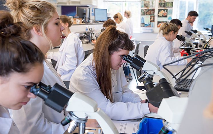 Applying for medicine after a Biomedical Science or Medical Neuroscience  degree at Sussex : How to apply for undergraduate courses : ... : Study  with us : University of Sussex