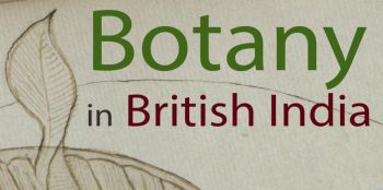 Apologies. Broadcast images pre 2021 do not have alt-text