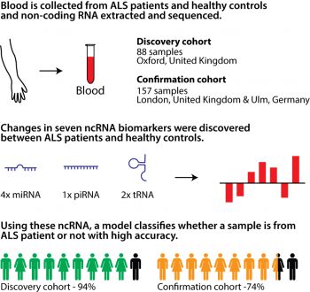 New test zeroes in on motor disease