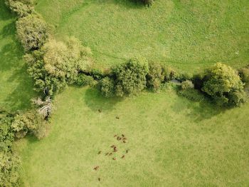 Bird's-eye view of Tablehurst Farm, East Sussex