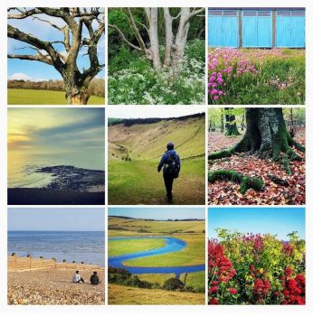 Montage of nature scenes