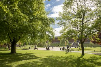 A view across the lawns and among the trees on the University of Sussex campus