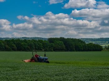 A tractor sits on an old-fashioned tractor in a field of green crops