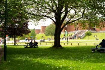 People on a sunny Sussex campus