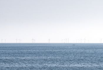 Long distance shot of a row of wind turbines out at sea