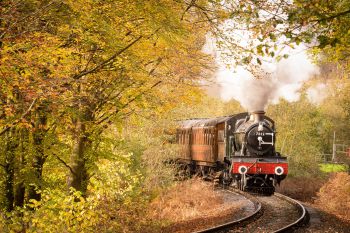 A black and red steam engine pulls wooden carriages through a forest