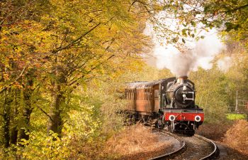 A black and red steam engine pulls wooden carriages through a forest