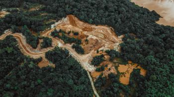 An aerial shot over a forest where large tracks of brown mud have been made by logging vehicles