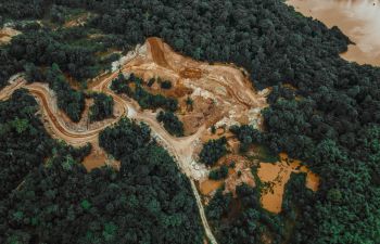 An aerial shot over a forest where large tracks of brown mud have been made by logging vehicles