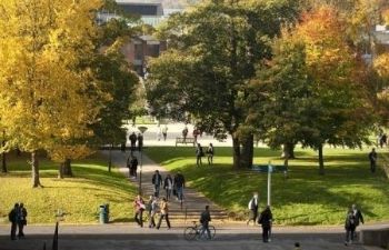 Library Square through autumn foliage