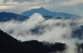 Looking from a birds eye view above Los Cedros Cloud Forest