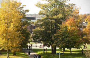 trees in autumn near Library square