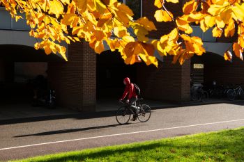An image framed by yellow autumn leaves shows a cyclist in a red hoodie cycling through campus