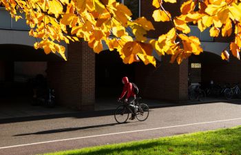 An image framed by yellow autumn leaves shows a cyclist in a red hoodie cycling through campus