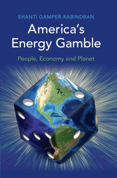Book cover of America's Energy Gamble: People, Economy and Planet