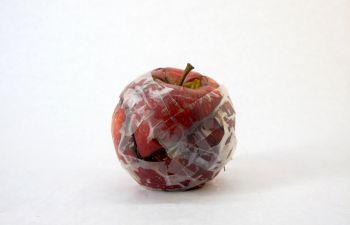 A apple that has been smashed and rebuilt, with sellotape sticking it together as part of Worktable, which will be at Attenborough Centre for Creative Arts for Brighton Festival this May