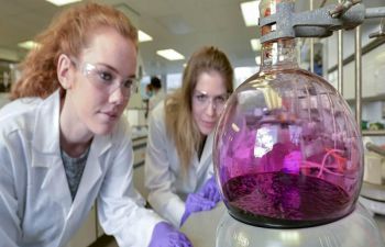 Two researchers in lab