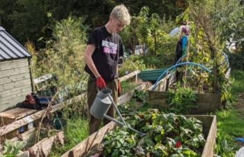 Student watering leafy green vegetables in one of the raised beds