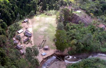 Bird's eye view of tropical forest and forest community