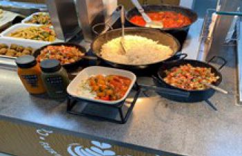 Four pots and pans with rice and chopped vegetable on a counter