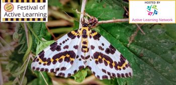 picture of a white butterfly with black and yellow spots resting on a leaf. On the top left corner, a box with the text