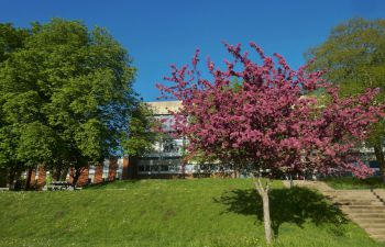 Pevensey II outside in Spring