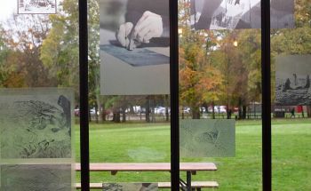 View of artworks on windows in the Attenborough Centre