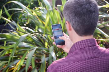 A medical student using a mobile phone to access an online app about medicine