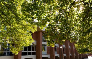 View of campus with green, leafy tree in front of a building