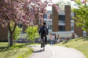 Cyclist riding up the a bike lane past a cherry tree on a sunny day, towards Arts B and Jubilee