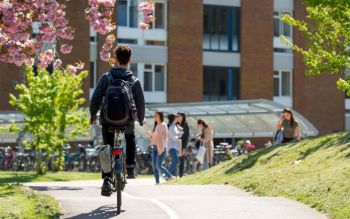 student cycling on campus under a blossomed tree