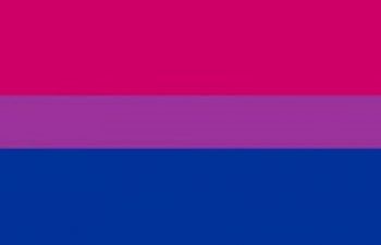 Picture of Bi Flag blue purple and pink horizontal stripes