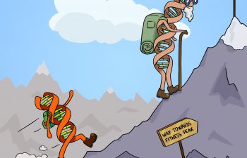 A cartoon of an old gene struggling up a mountain and a new gene hiking up with energy.