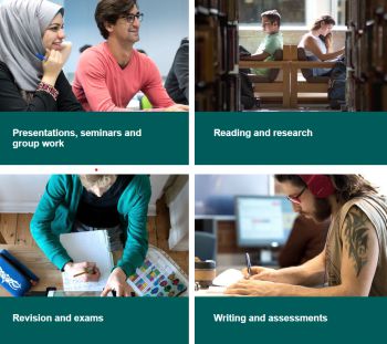 screenshot of the news Skills Hub homepage