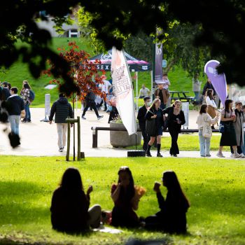 A group of students sitting on the grass