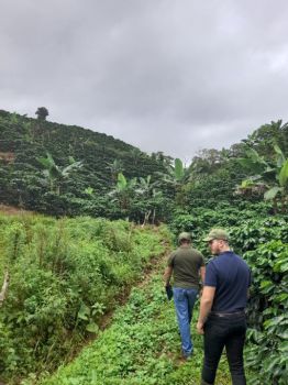 A producer and a technician from Icafé walking through the coffee plantations during a farm visit in the Puriscal, Costa Rica