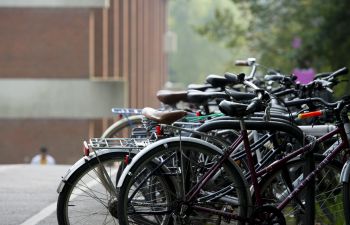 Bikes locked to bike racks on campus