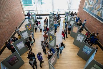 Students and staff at the poster exhibition in Falmer House