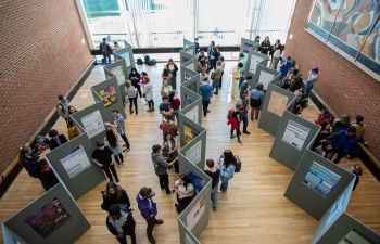 Students and staff at the poster exhibition in Falmer House